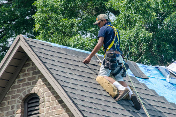 Best Shingle Roofing Installation  in Benton, TN